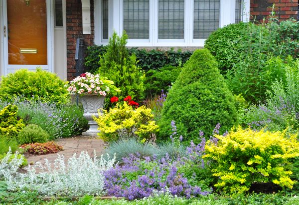 Handyman And Gardening Service
