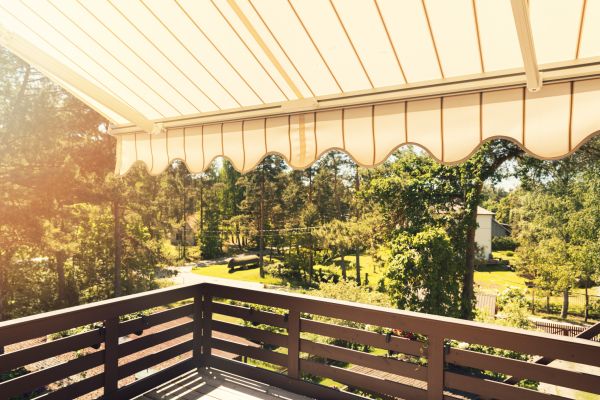 Patio Cover Renovation
