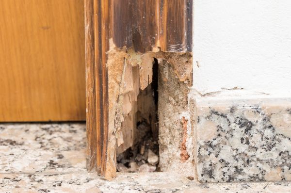 Rotting Door Repair