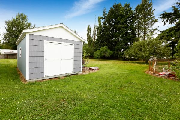 Shed Door Restoration