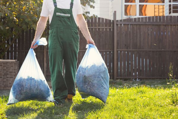 Tree Debris Removal Service