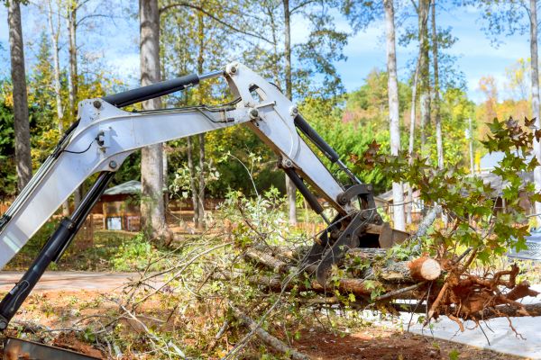 Landscape Grading Service