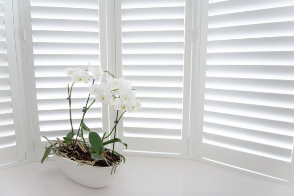 Plantation Shutters Install - Plantation Shutters Install Lawrence, Kansas
