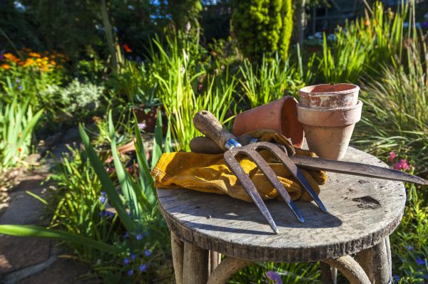 Regular Gardening