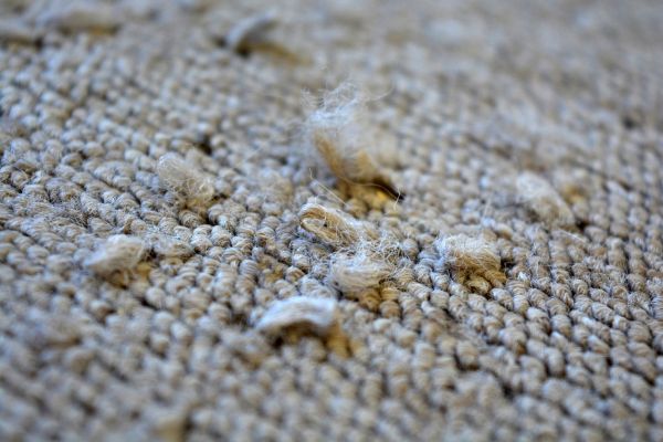 Carpet Sprouting Repair