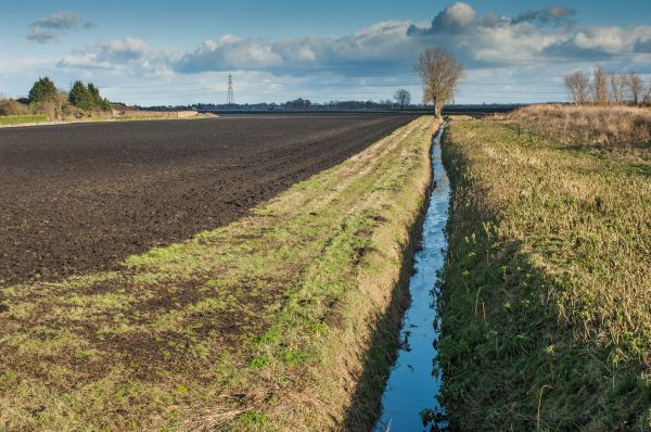 Drainage Channel Cleaning