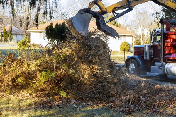Disaster Debris Removal